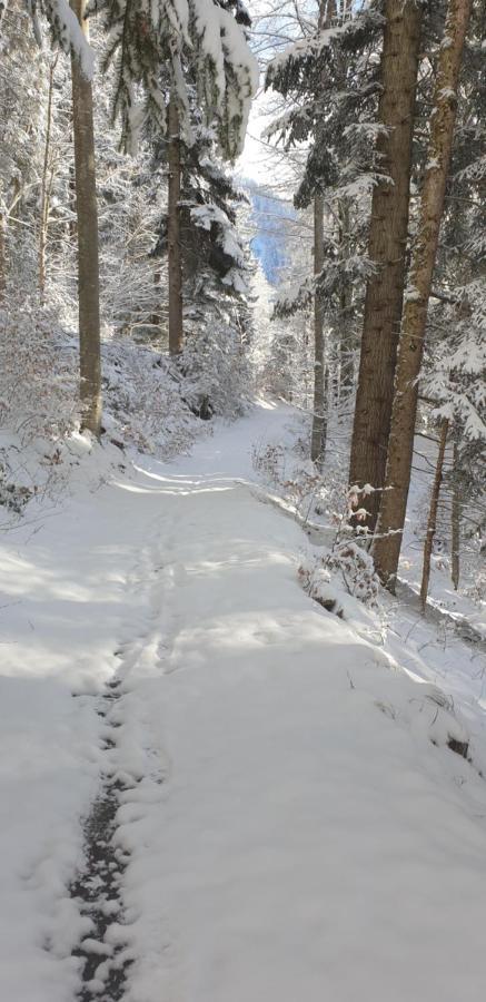 Apartment Sonnenbuechel Wald am Arlberg Dış mekan fotoğraf